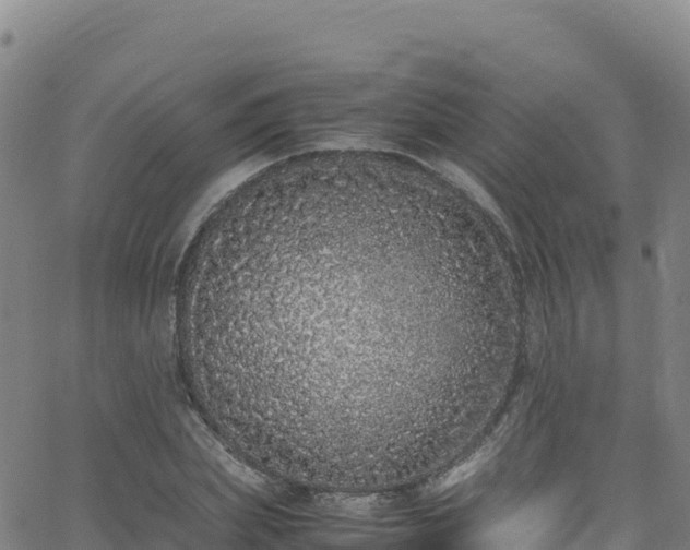 X0000062930831200601181307