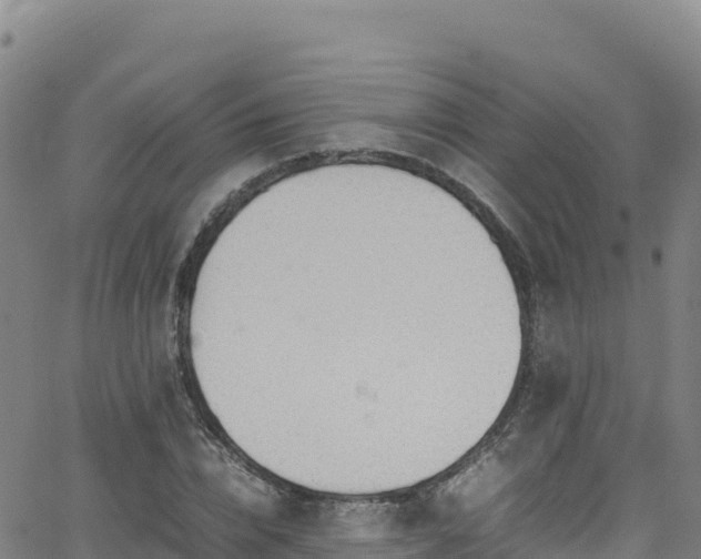 X0000062930832200601181307