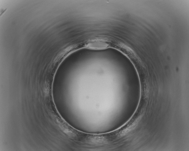 X0000062930833200601181307