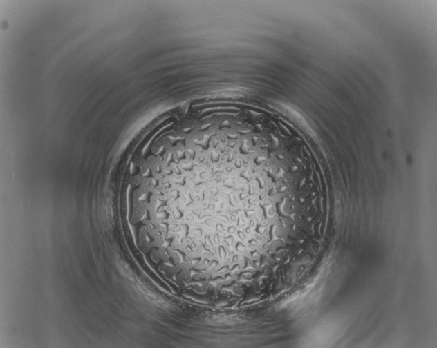 X0000062930835200601181307