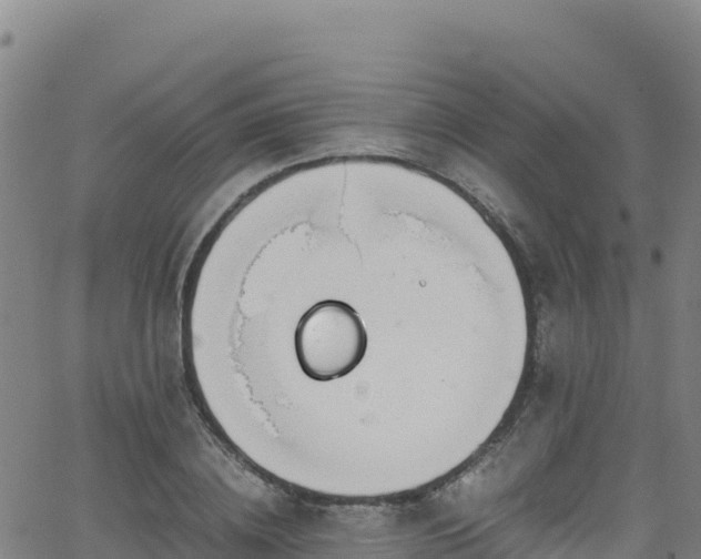 X0000062930836200601181307