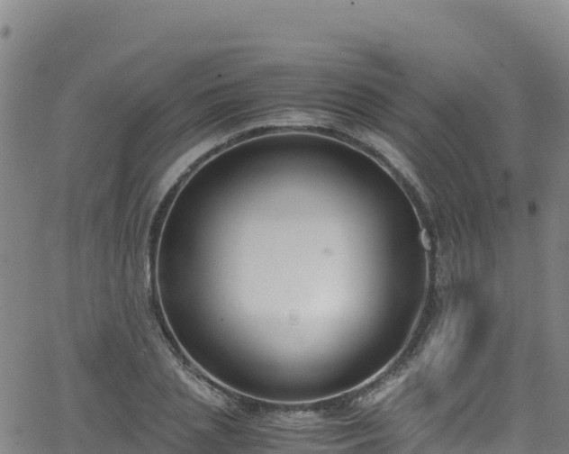 X0000062930837200601181307