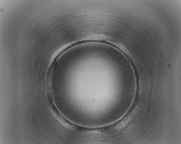 X0000062930838200601181307