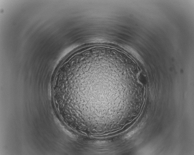 X0000062930839200601181307