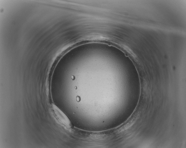 X0000062930840200601181307