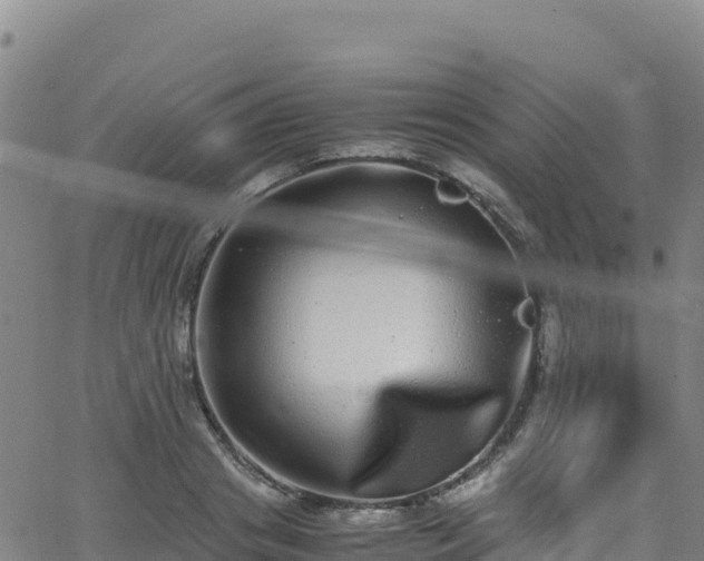 X0000062930841200601181307