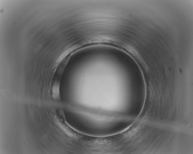 X0000062930842200601181307