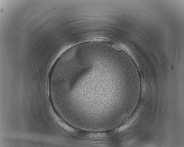 X0000062930843200601181307