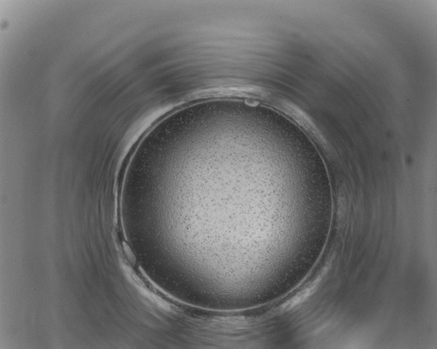 X0000062930844200601181307