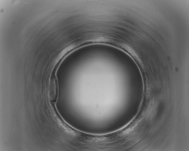 X0000062930845200601181308