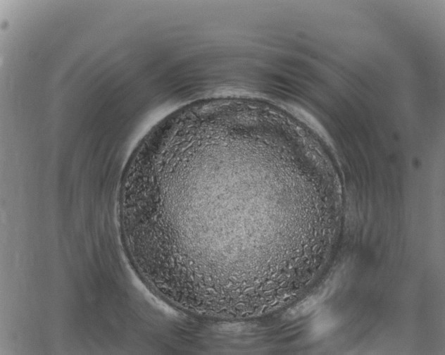 X0000062930847200601181308