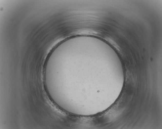 X0000062930848200601181308