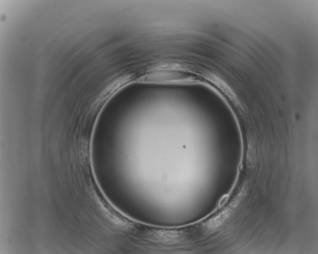 X0000062930849200601181308