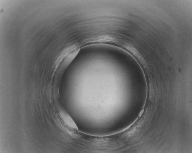 X0000062930850200601181308