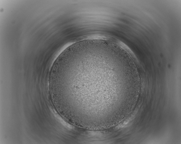 X0000062930852200601181308