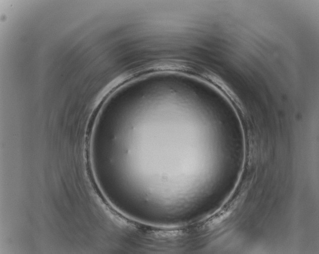 X0000062930853200601181308