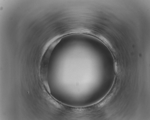 X0000062930854200601181308