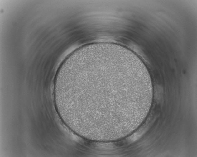 X0000062930856200601181308