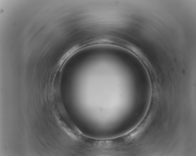 X0000062930858200601181308