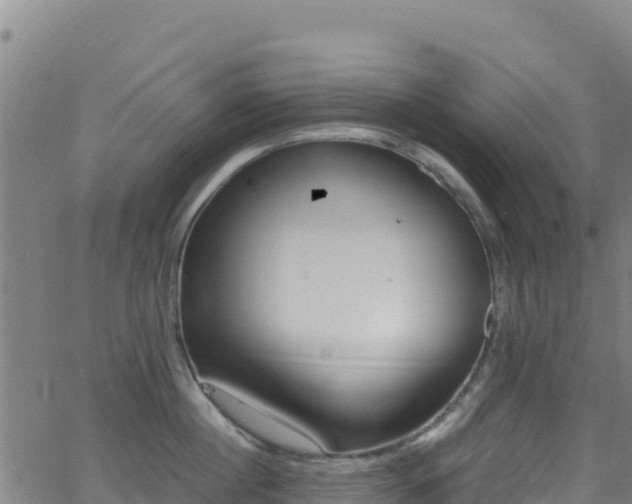 X0000062930860200601181308