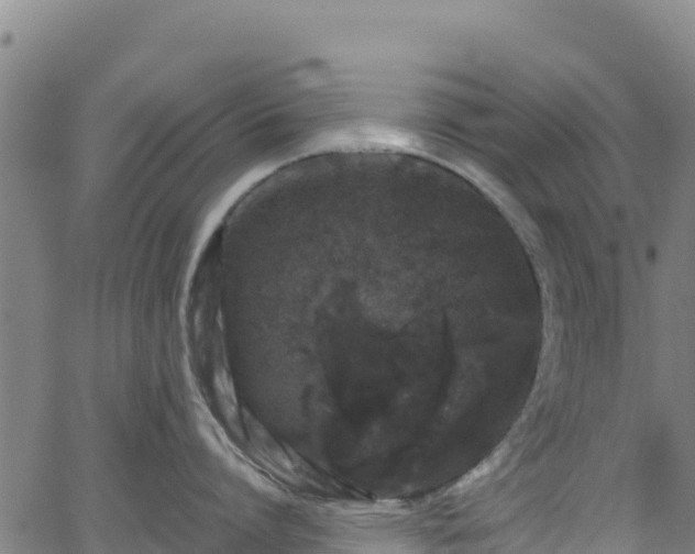 X0000062930864200601181308