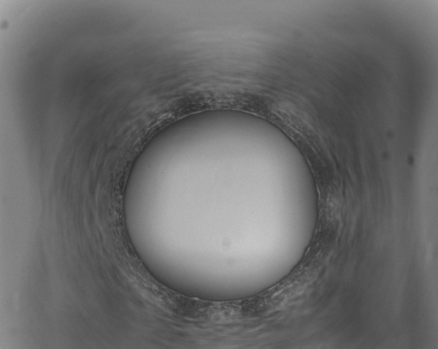 X0000062930865200601181307