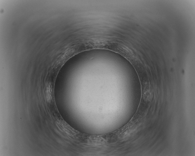 X0000062930866200601181307