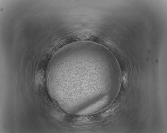 X0000062930867200601181307