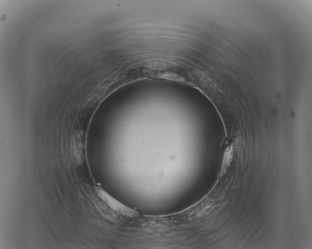 X0000062930868200601181307