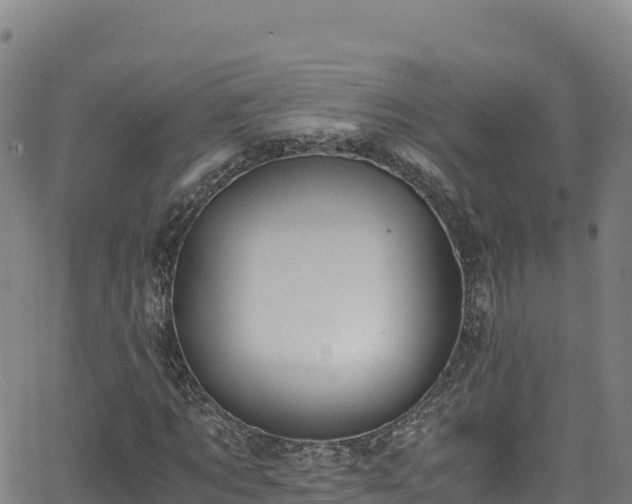 X0000062930869200601181307