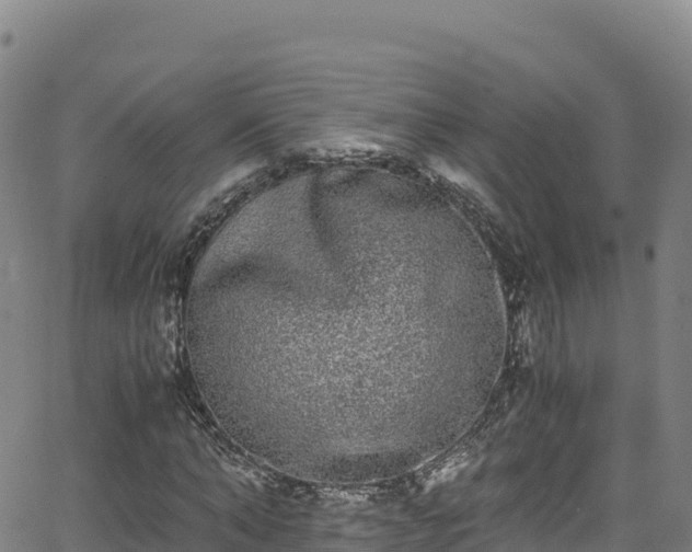 X0000062930870200601181307