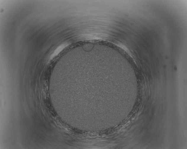 X0000062930871200601181307