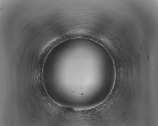 X0000062930872200601181307