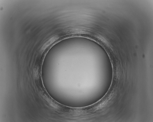 X0000062930873200601181307