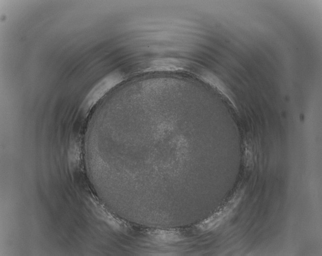 X0000062930874200601181307