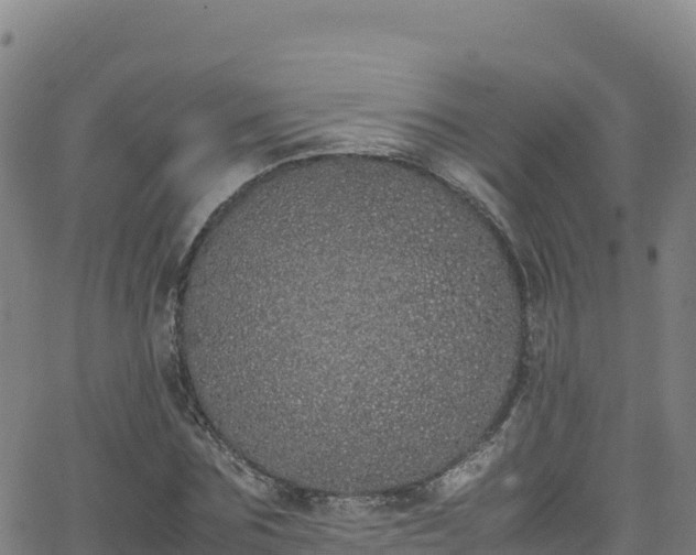 X0000062930875200601181307