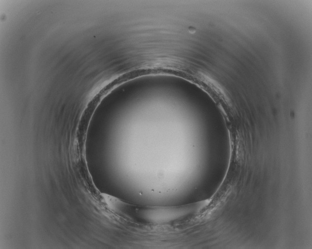 X0000062930876200601181307