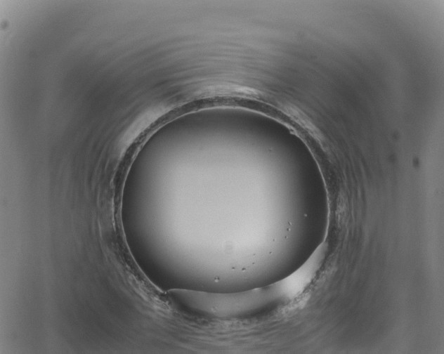 X0000062930877200601181307