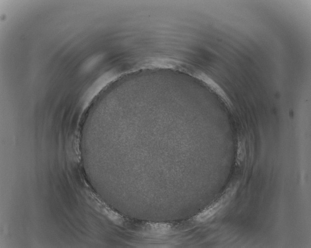 X0000062930878200601181307