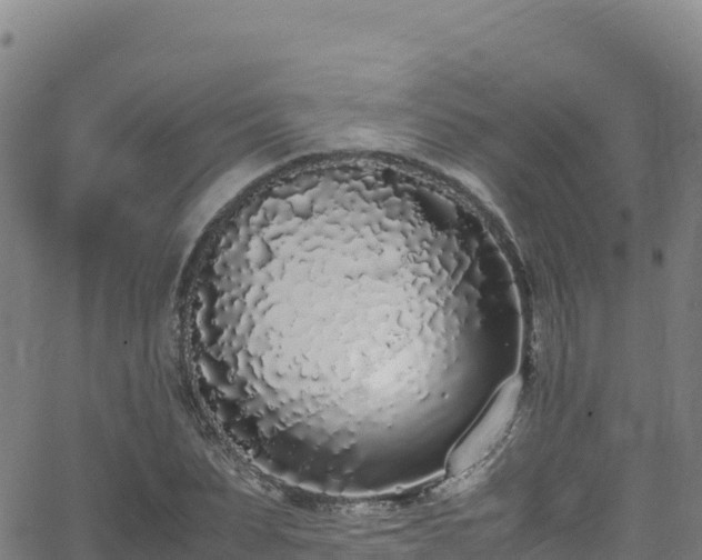 X0000062930879200601181307