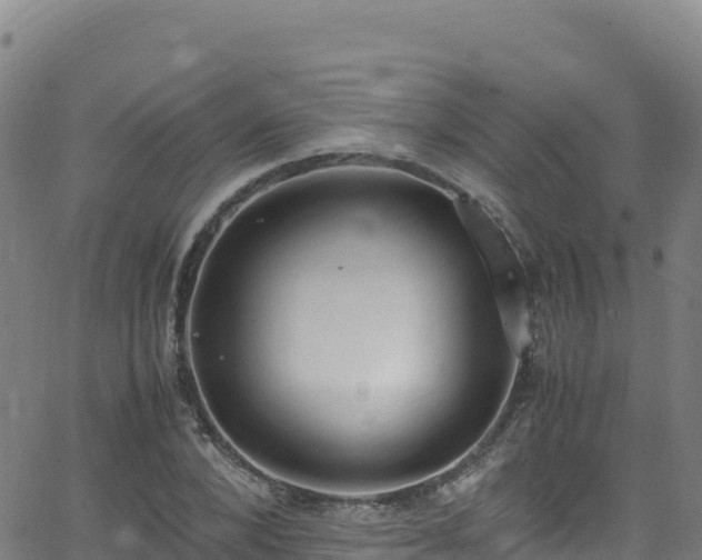 X0000062930880200601181307