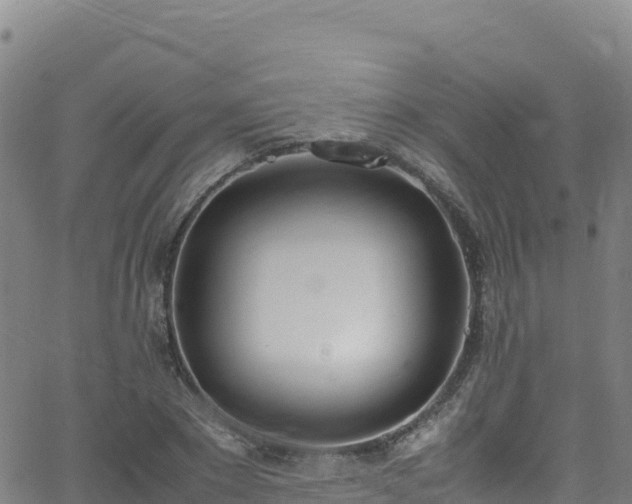 X0000062930881200601181307