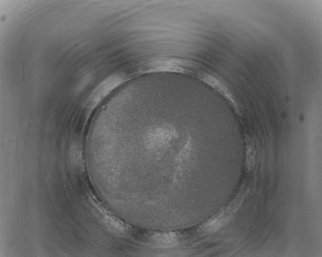 X0000062930882200601181307