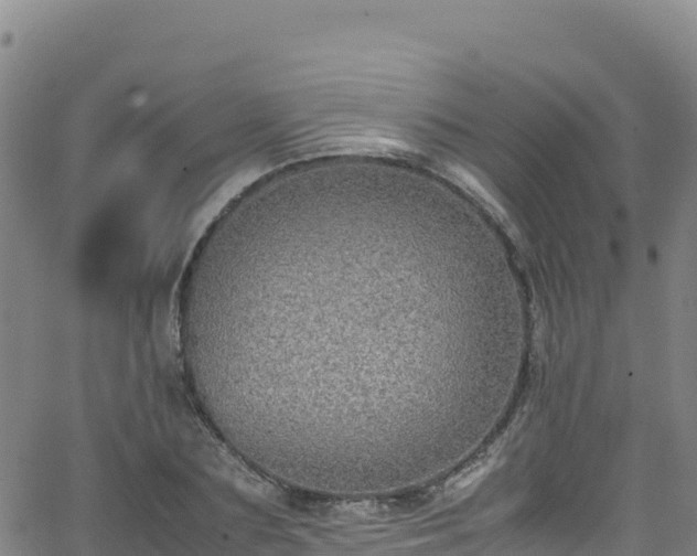 X0000062930883200601181307