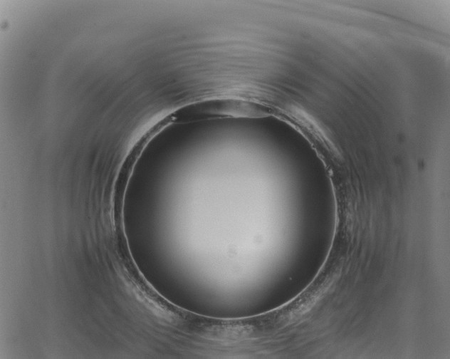 X0000062930884200601181307