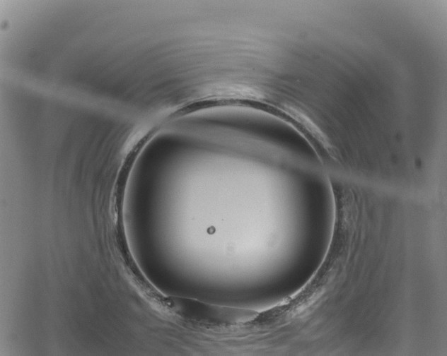 X0000062930885200601181307