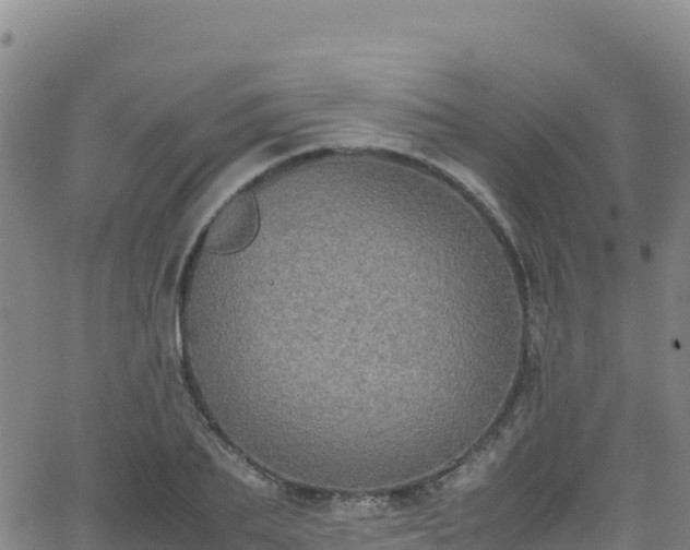 X0000062930887200601181307