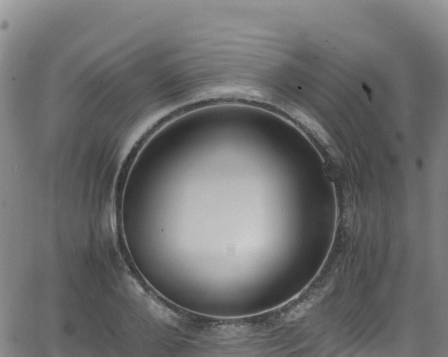 X0000062930888200601181307