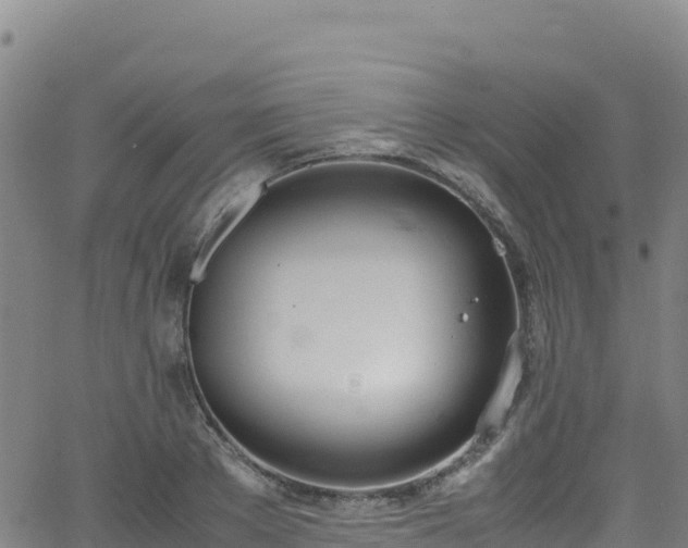 X0000062930889200601181307