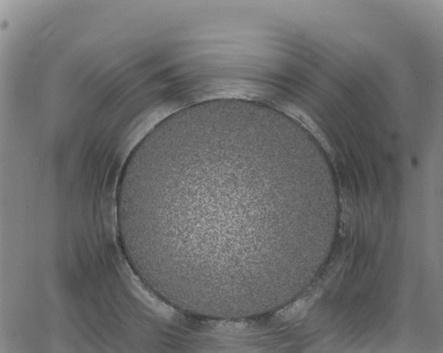 X0000062930890200601181307